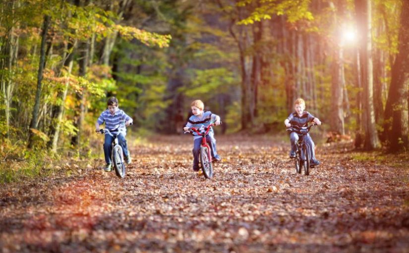 Half term on a budget (of zero) wherever you are in Britain