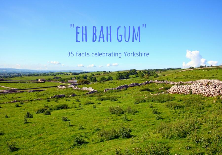 35 stereotype-quelling Yorkshire facts to digest over a brew and a slice of Parkin