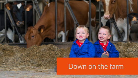 Working farm stays the kids will love for your next uk family holidays