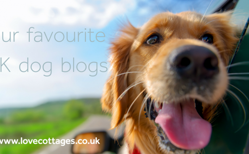 UK's best dog blogs doggie bloggers