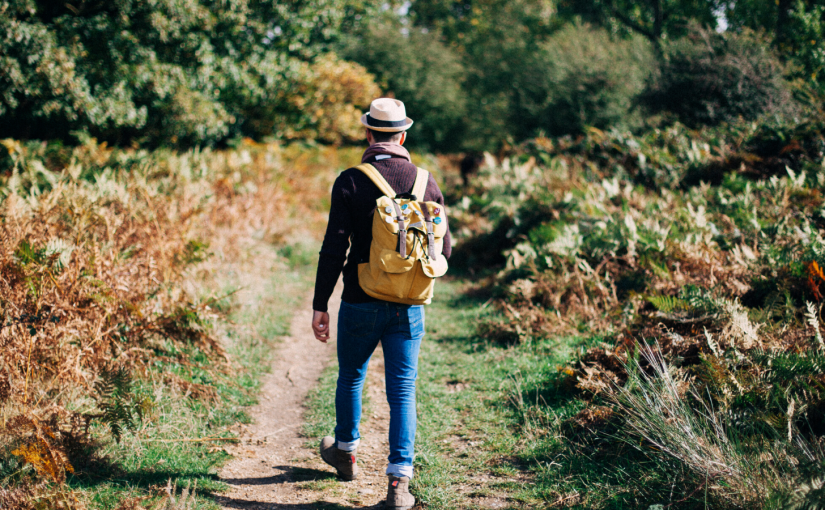 Best British walking festivals