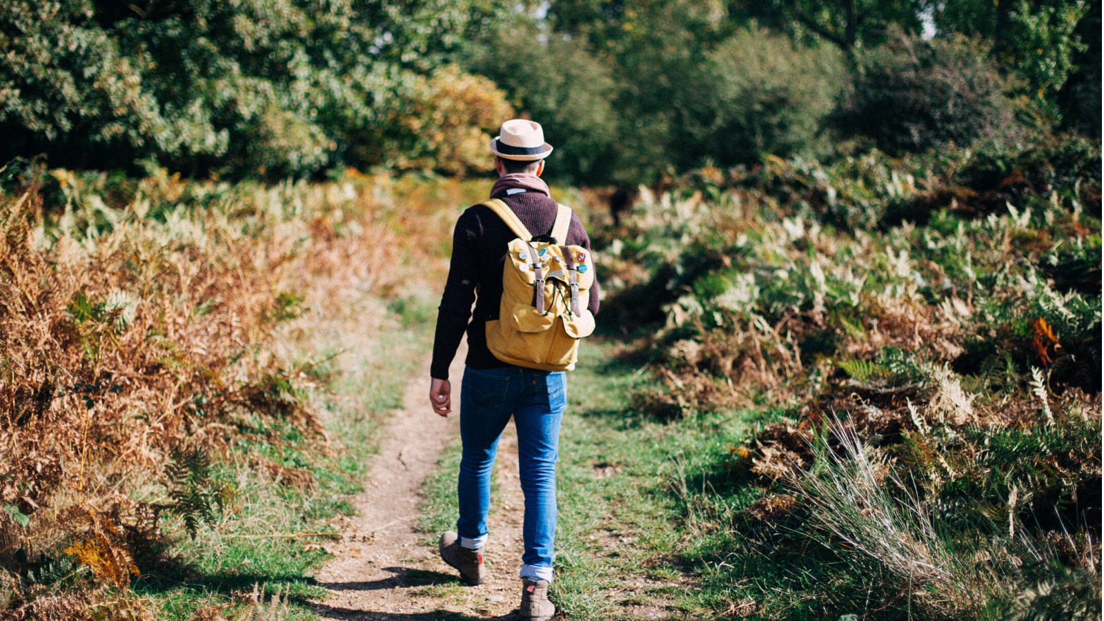 Best British walking festivals